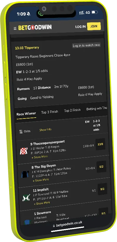 Betgoodwin mobile website reference image