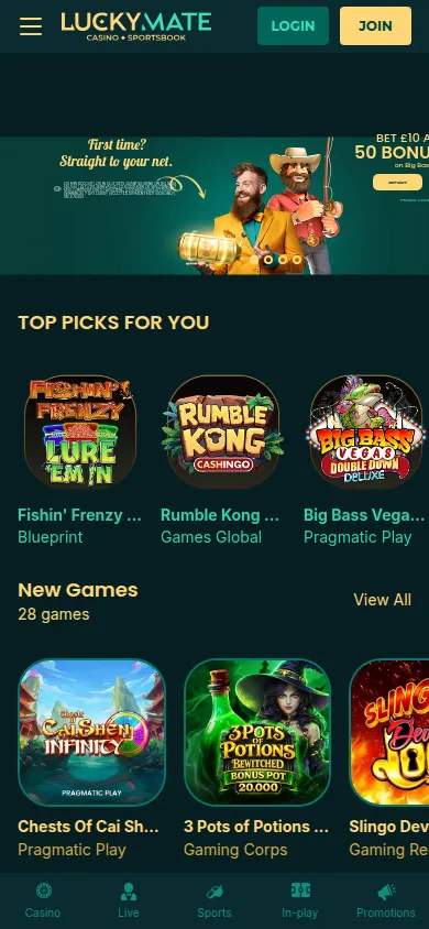 LuckyMate mobile website reference image